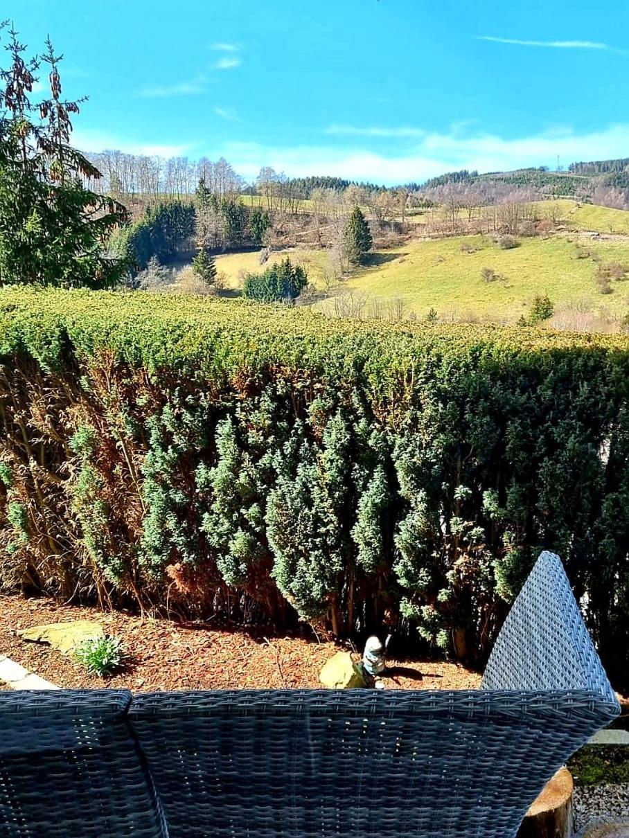 Ferienwohnung Aartalblick Willingen ヴィリンゲン エクステリア 写真